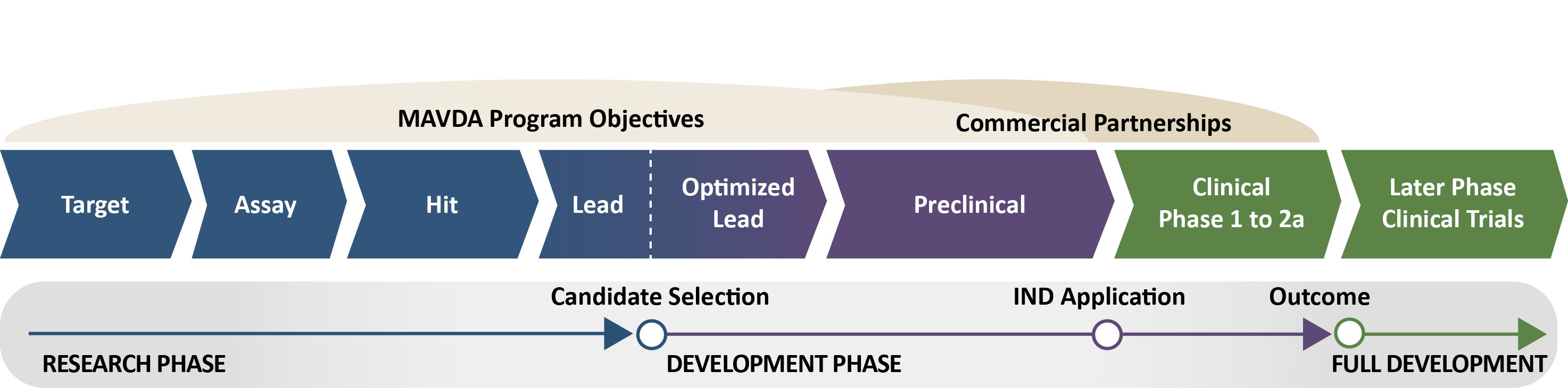 Drug Development Pipeline Illustration